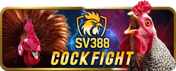 Đội ngũ hỗ trợ VIP của qq8 nhà cái